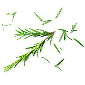 Picture - Side image